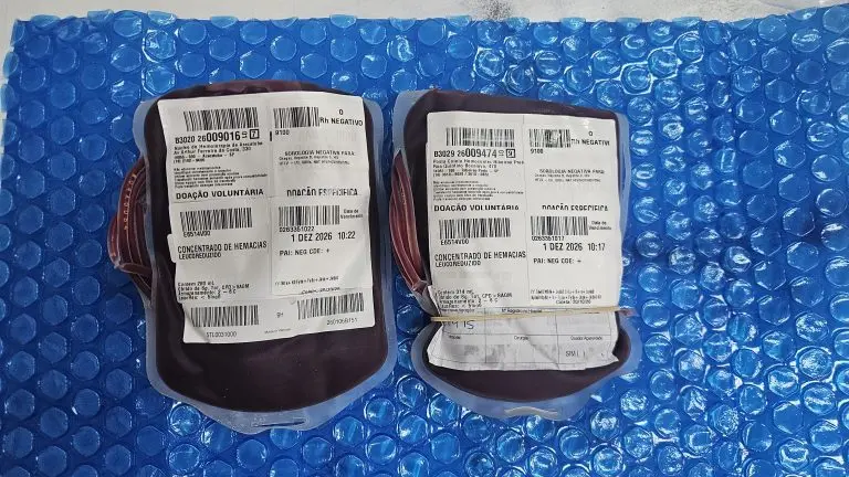 Bolsas de sangue raro chegam a Santa Catarina para atender paciente com anemia falciforme