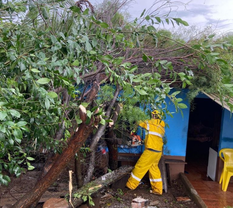 Temporal com vendaval causa transtornos no Meio-Oeste (fotos)
