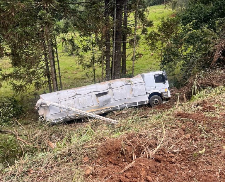 Caminhão sai da pista e cai em ribanceira em Salto Veloso