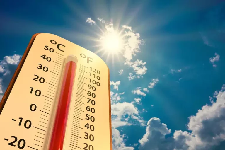 Calor: 2025 é um dos anos mais quentes da história