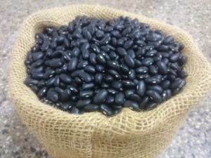 Epagri/SC lança nova variedade de feijão preto que se destaca pela alta produtividade e resistência a doenças
