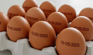 Obrigação de carimbar data de validade em ovos é suspensa