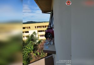 Motorista perde o controle e carro quase despenca em Tangará