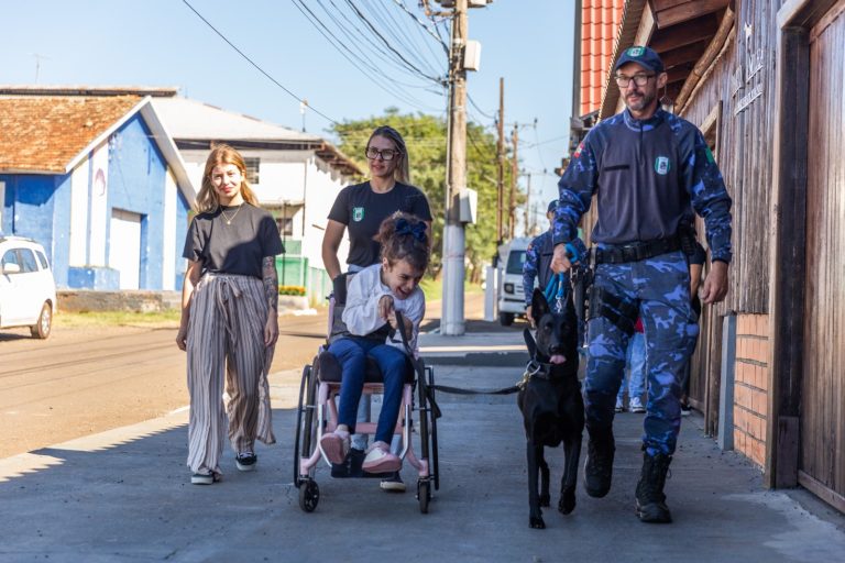 Cães que transformam vidas: Chapecó é referência em cinoterapia para crianças com autismo e síndrome de Down