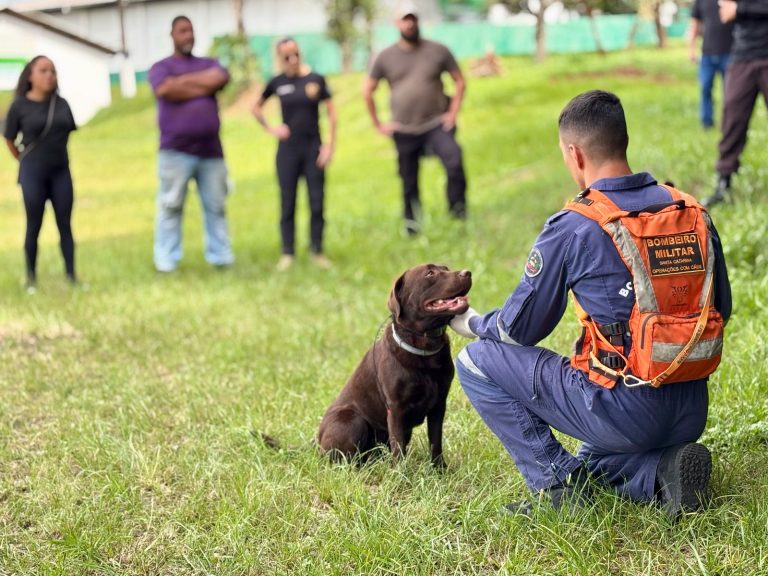 Prefeitura e Unochapecó promovem curso inédito no país de Pós-Graduação em Cinotecnia Policial em Chapecó