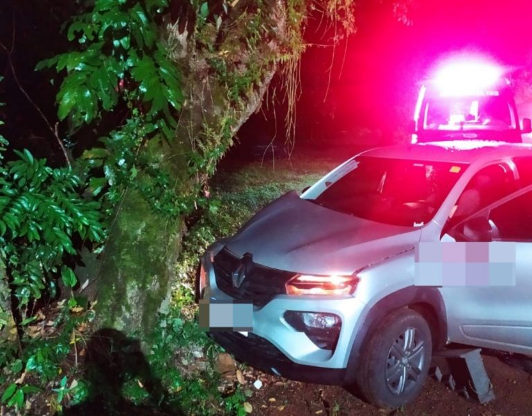 Motorista fica ferida após colidir veículo contra árvore em Herval d’Oeste