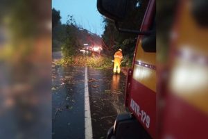 Chuvas intensas alagam ruas e causam transtornos no Oeste de SC