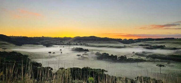 Santa Catarina registra primeira geada do ano na Serra (fotos)