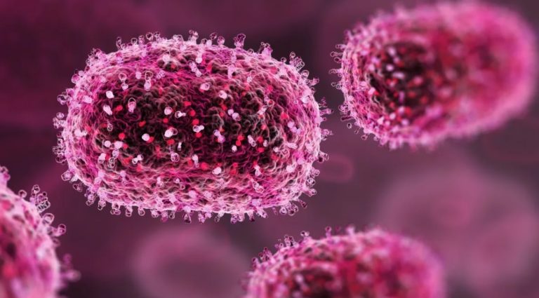 Brasil atinge 140 casos de Mpox em 2026 sem mortes