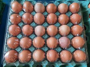 Decreto permite comércio interestadual de produtos de origem animal com selo de inspeção