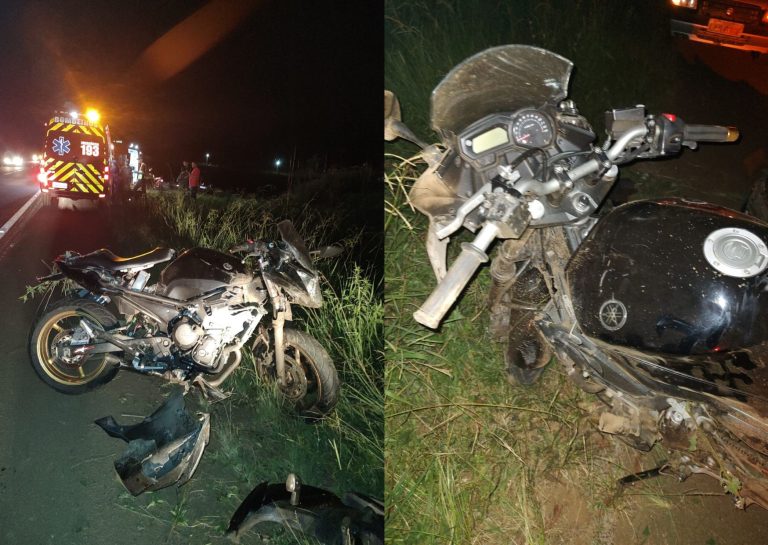 Colisão entre motocicleta e javali deixa dois feridos na BR-282