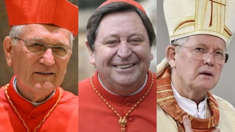 Quem são os cardeais catarinenses que podem participar do conclave e eleger o novo papa