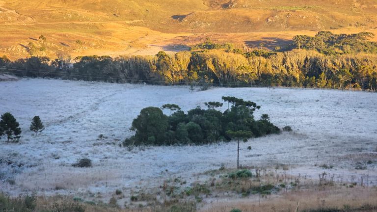 Santa Catarina tem chance de neve nesta semana