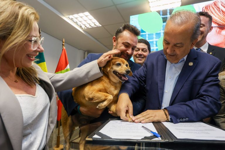 Santa Catarina lança maior programa estadual de castração animal do país