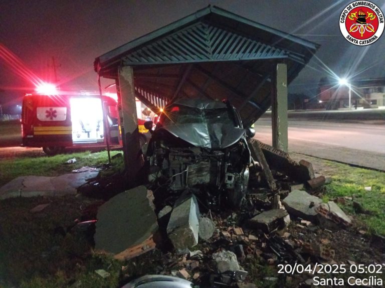 Veículo fica destruido ao bater contra ponto de ônibus na BR-116