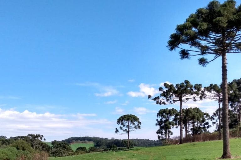Acordos extrajudiciais garantem desapropriação de áreas quilombolas em Campos Novos