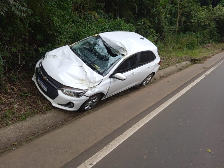 Por questão de segundos: árvore cai sobre carro na rodovia entre Concórdia e Jaborá e motorista escapa por pouco