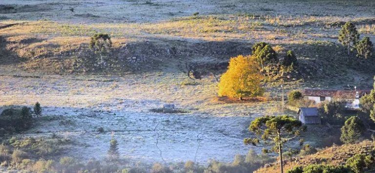 Defesa Civil emite alerta para frio intenso no restante da semana em SC