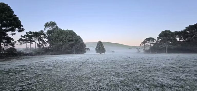 SC amanhece pelo 2º dia seguido com temperatura abaixo de zero e geada