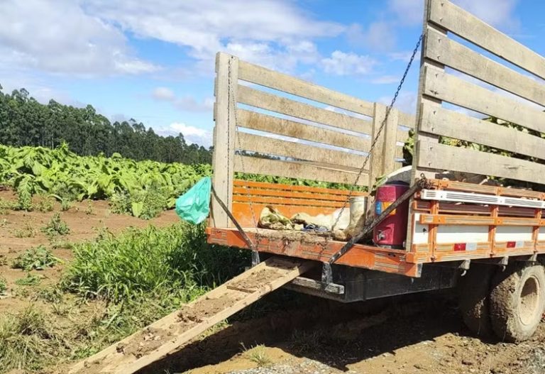 Menina de 2 anos morre ao cair de caçamba e ser atropelada por trator em SC