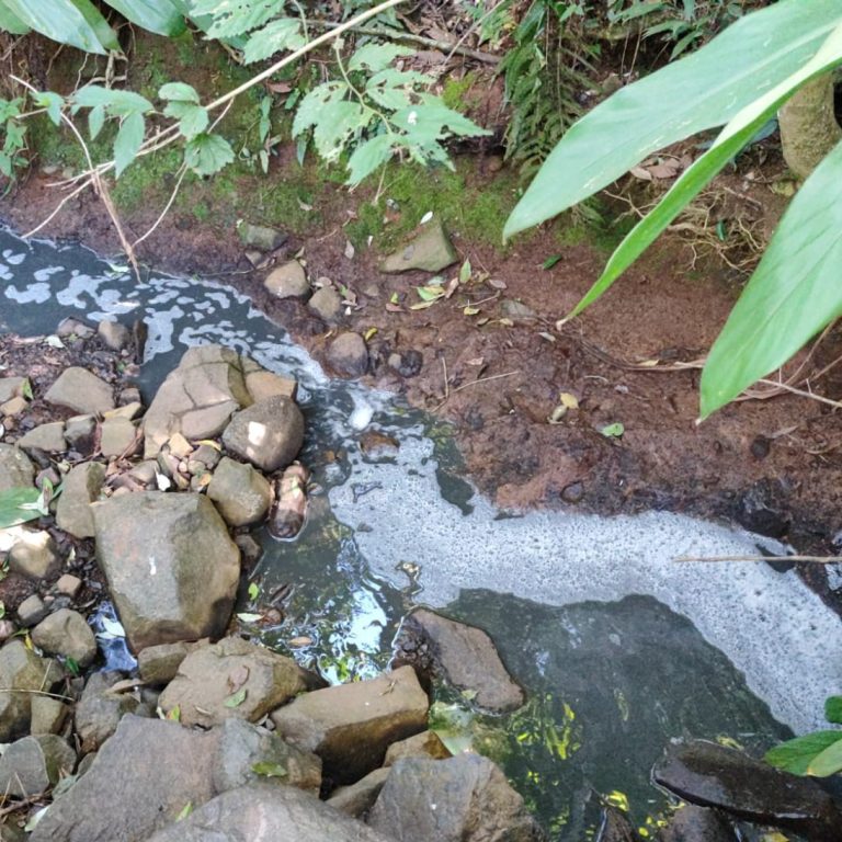 Polícia Ambiental autua homem por vazamento de dejetos em rio de Treze Tílias
