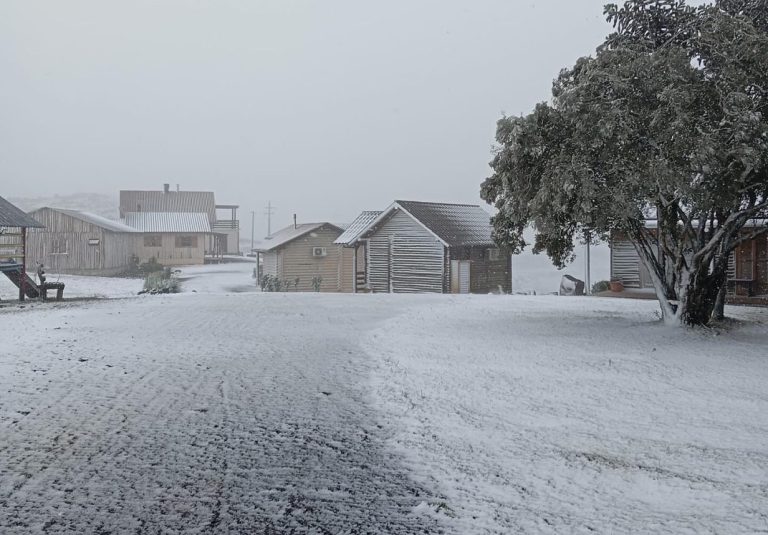 Frio Histórico em SC: Veja a previsão do tempo para os próximos dias após neve surpreender o estado