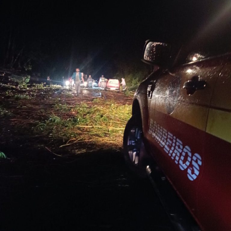 Temporal derruba mais de 20 árvores e interdita SC-350 em Lebon Régis