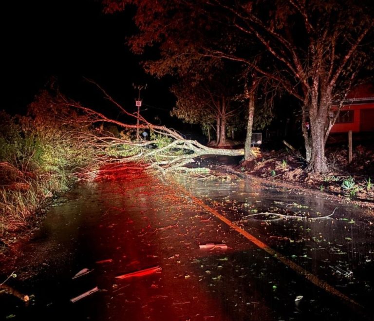 Temporal causa estragos e mobiliza bombeiros no Oeste catarinense