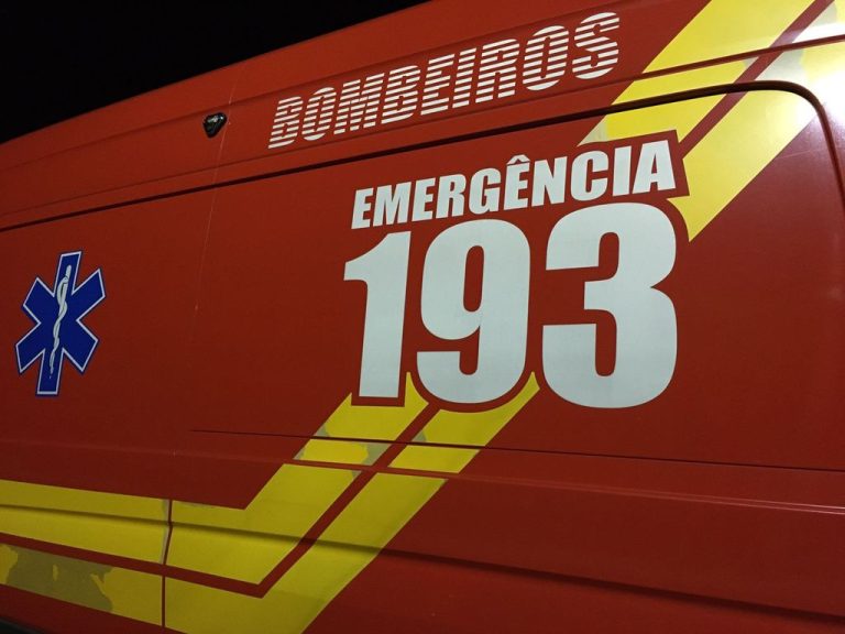 Bombeiros capturam cobra jararaca próximo a escola em Piratuba