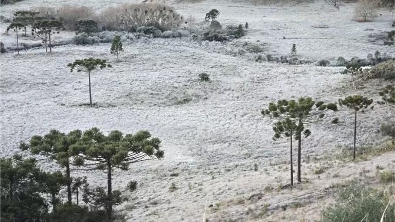 Frio intenso marca o fim de semana em Santa Catarina, alerta Defesa Civil
