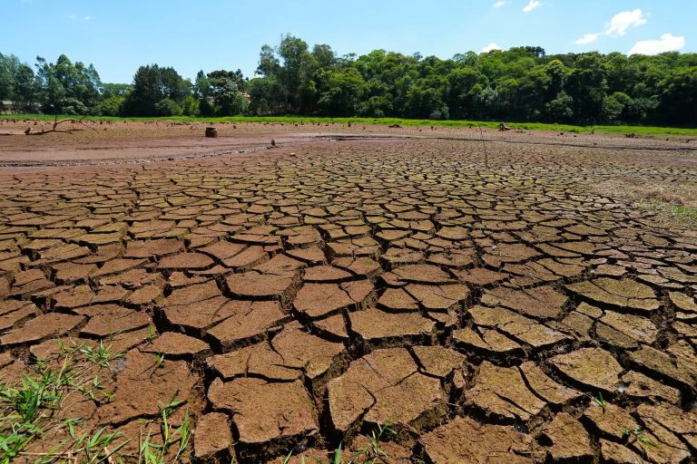 Santa Catarina enfrenta seca grave e tem 95% do território sob estiagem intensa