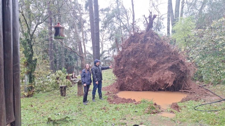 Temporal derruba árvores e causa transtornos em Herval