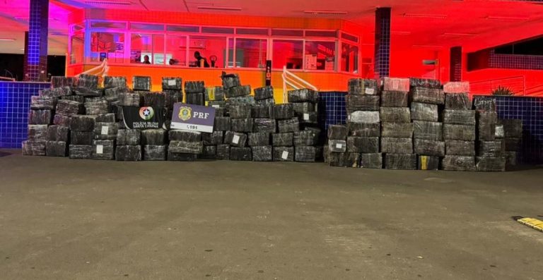 Operação na região: Forças de segurança divulgam que 10 toneladas de maconha foram apreendidas