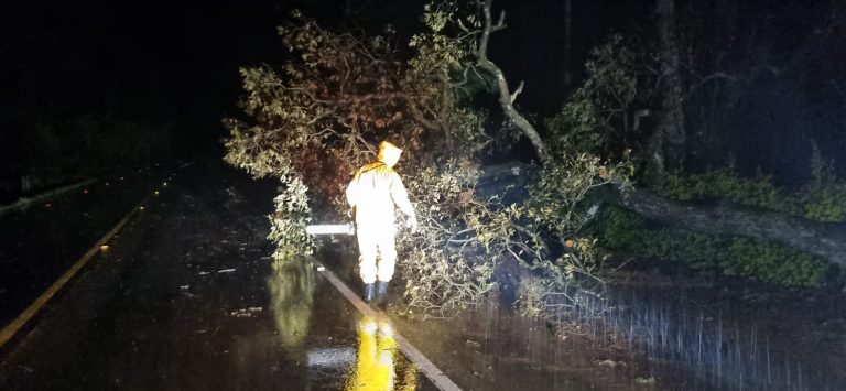 Temporais causam destelhamentos, quedas de árvores e interditam rodovia no Oeste de SC
