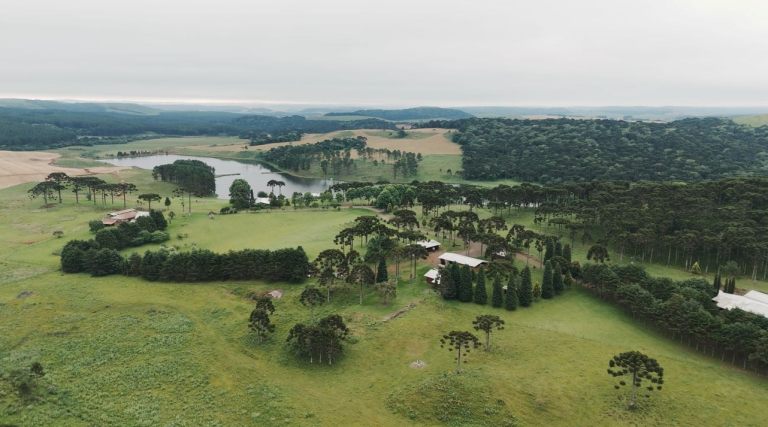 Condomínio de luxo com vinhedo e hotel será implantado no Meio-Oeste catarinense