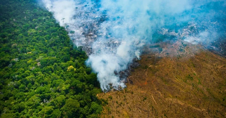 Em ano de COP30, vozes da Amazônia ecoam por restauração e justiça climática em Belém