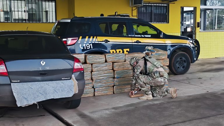 Veículo pesado chama a atenção e revela carga incomum de maconha na BR-282