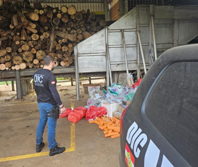Cerca de 750 kg de drogas são incinerados em Chapecó
