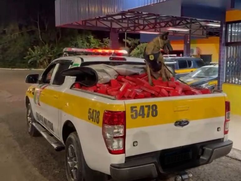 Ação conjunta resulta em apreensão de mais de meia tonelada de maconha na BR-153, em Irani