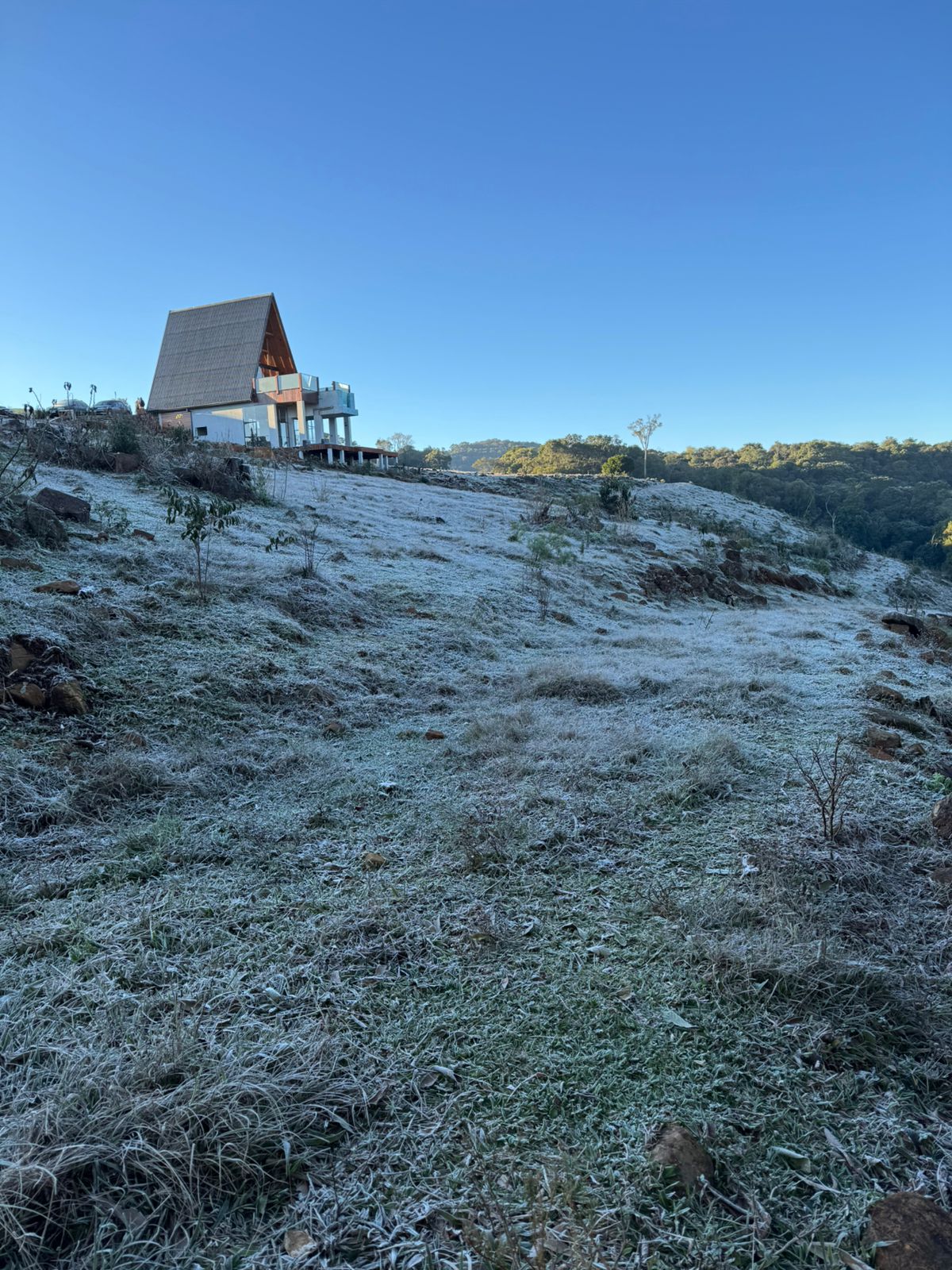 Vídeos: Geada transforma paisagem do interior de Herval d’Oeste em cenário encantador
