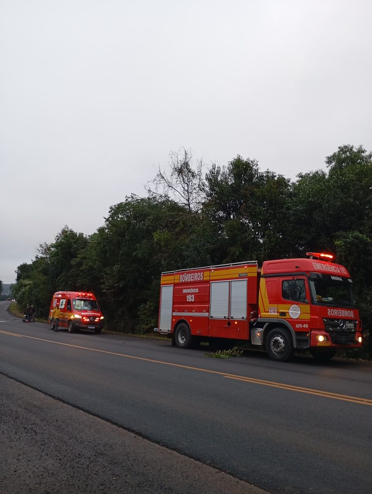 Casal fica ferido após moto bater em cachorro na BR-158, em Cunha Porã