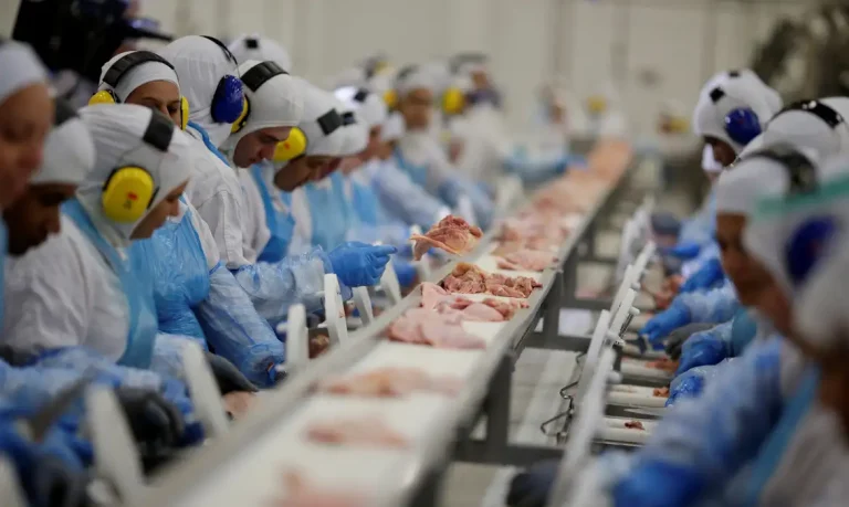 Indústria brasileira cria mais de 910 mil empregos em quatro anos, com destaque para setor de alimentos