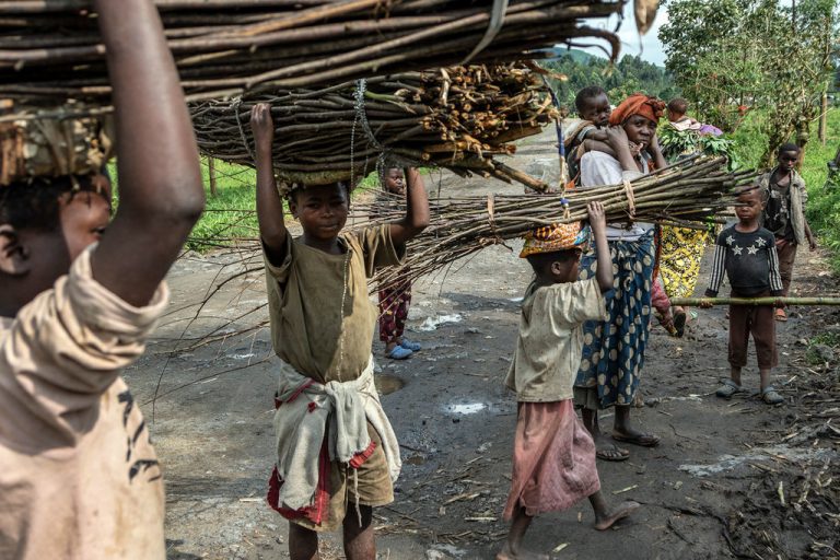 Denúncias de trabalho infantil crescem 41% no Brasil em 2024