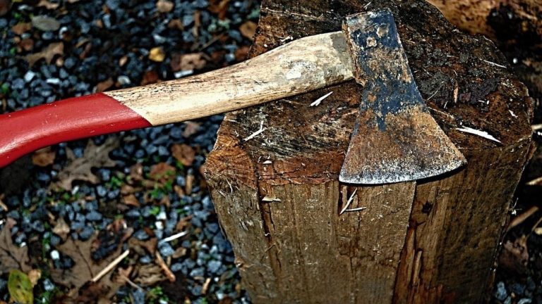 Homem é morto a golpes de machado após desentendimento na região