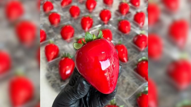 Em meio à “febre” do Morango do Amor, caixas da fruta saltam de R$ 20 para R$ 50 em SC