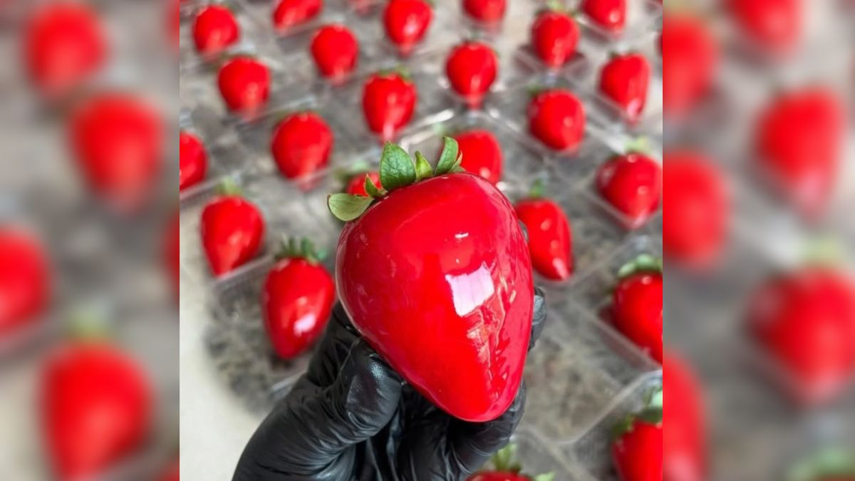 Em meio à “febre” do Morango do Amor, caixas da fruta saltam de R$ 20 para R$ 50 em SC