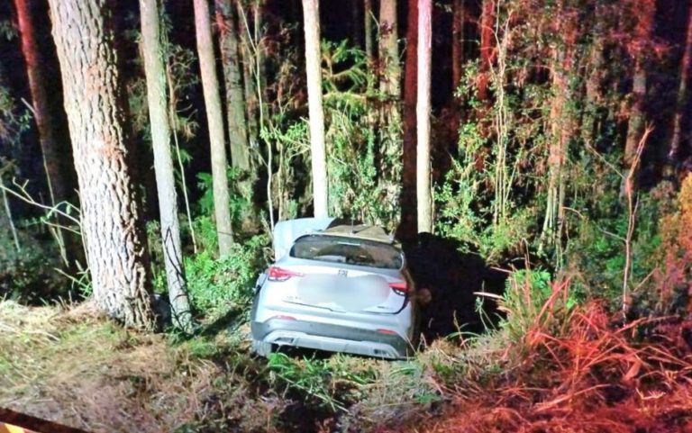 Professor morre após sair da pista e colidir contra árvore em Capinzal