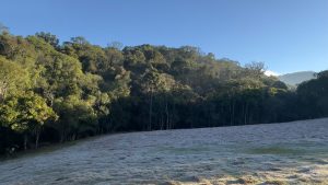 Geada transforma paisagem em Herval d’Oeste e encanta na Fazenda Piovesan