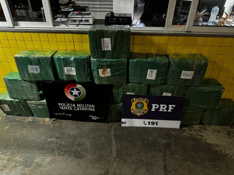Polícia apreende 330 quilos de maconha durante operação conjunta na SC-153, em Água Doce