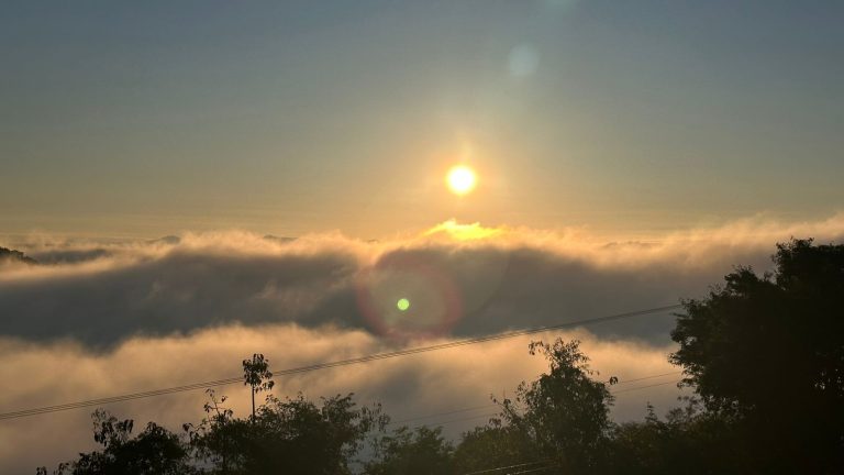 Frio intenso segue até sábado em Santa Catarina com geada e mínimas negativas